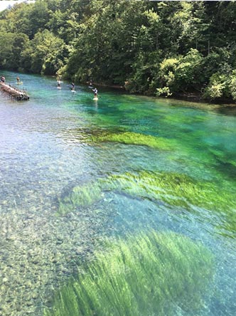 支笏湖（千歳川河口）